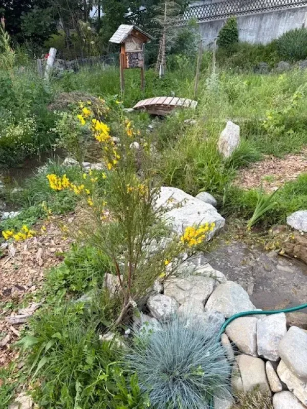 Gartenprojekt