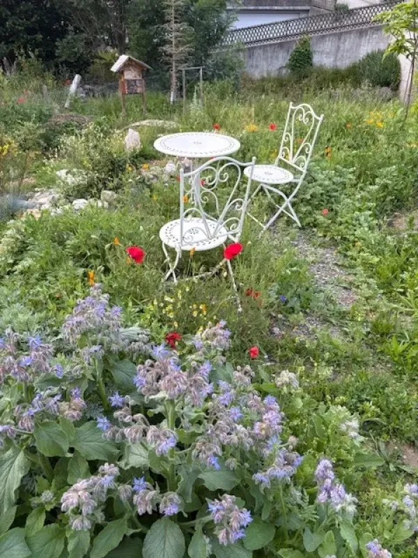 Gartenprojekt