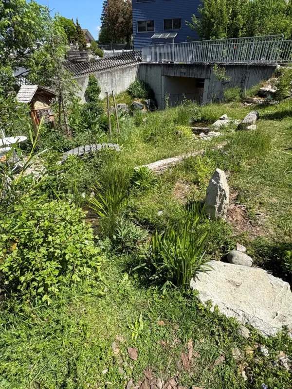 Gartenprojekt