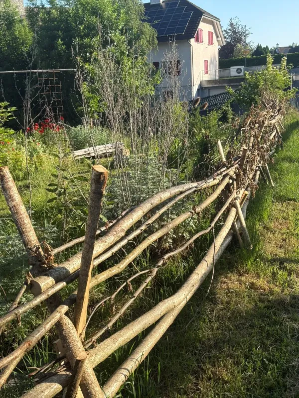 Gartenprojekt