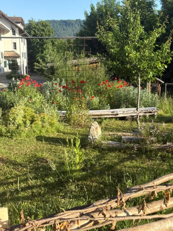 Gartenprojekt