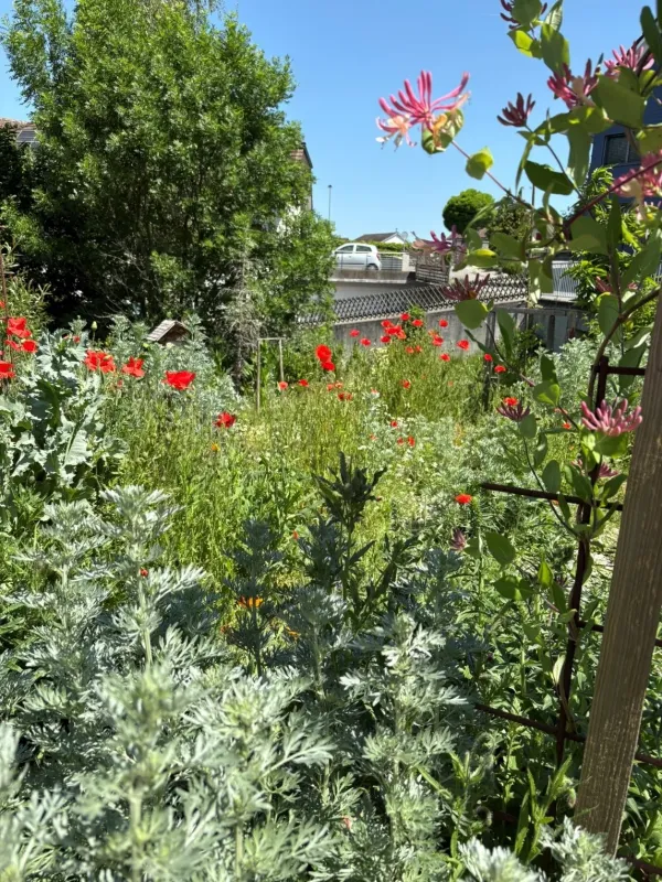 Gartenprojekt